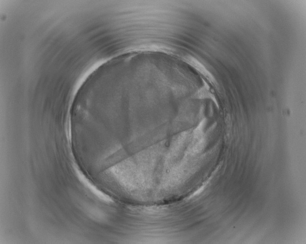 X0000078311084200611251527