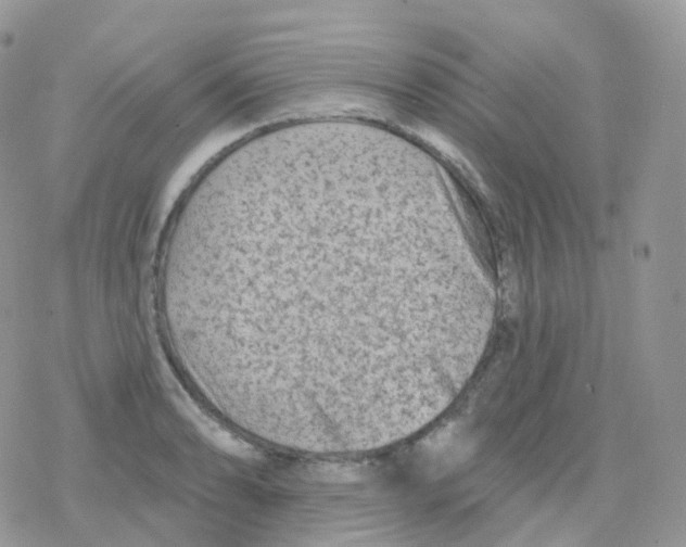 X0000078311086200611251527