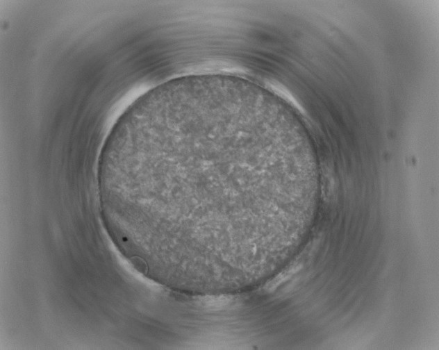 X0000078311087200611251527