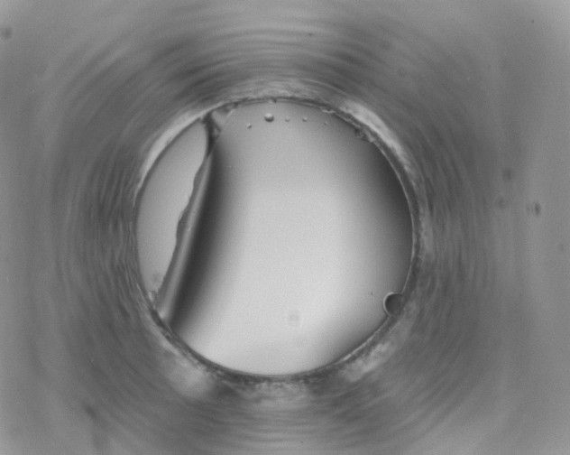 X0000078311089200611251527