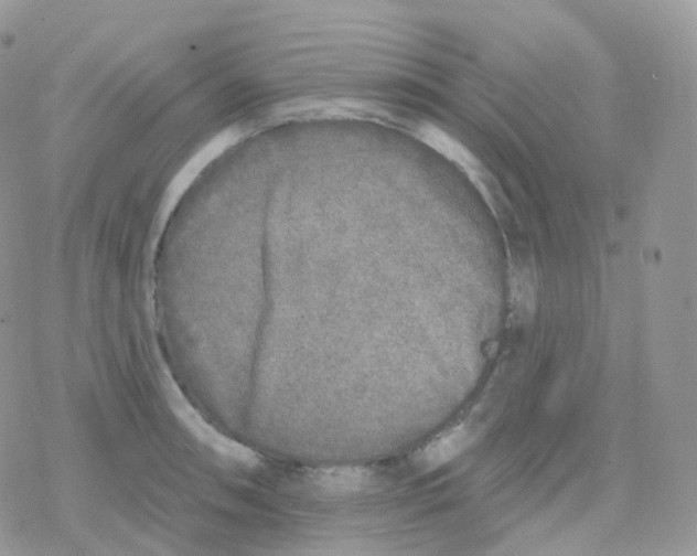 X0000078311090200611251527