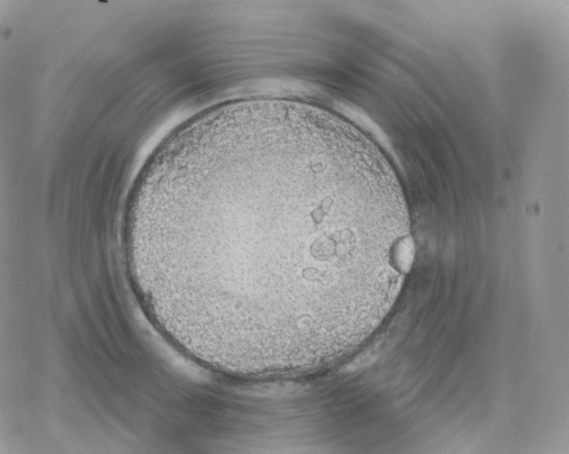 X0000078311091200611251527