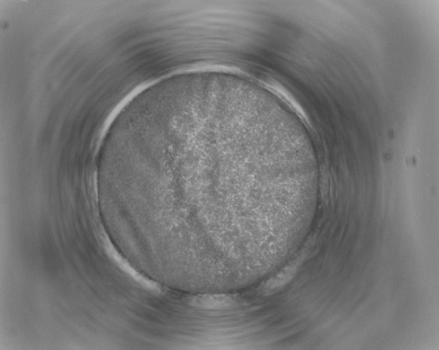 X0000078311092200611251527