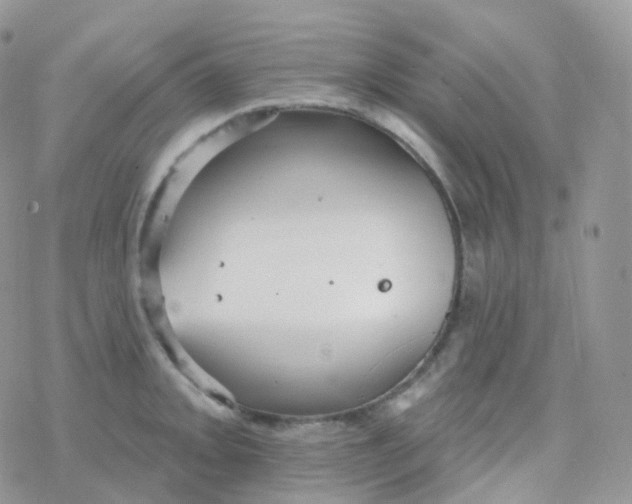 X0000078311093200611251527