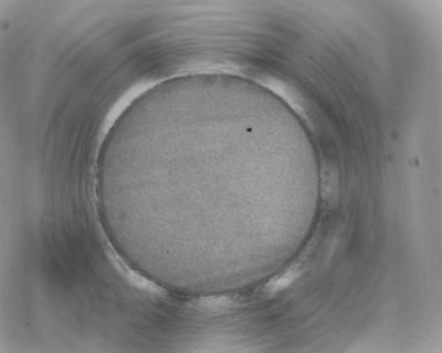 X0000078311094200611251527