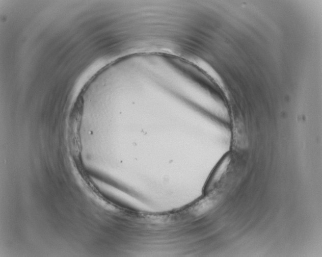 X0000078311096200611251527