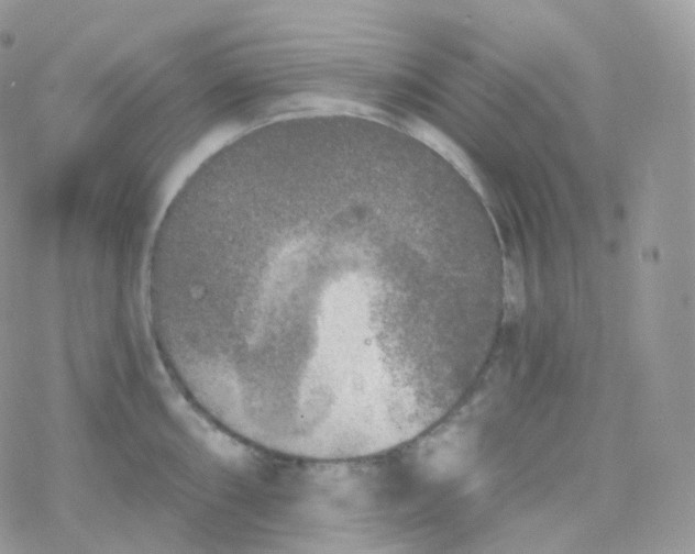 X0000078311098200611251527