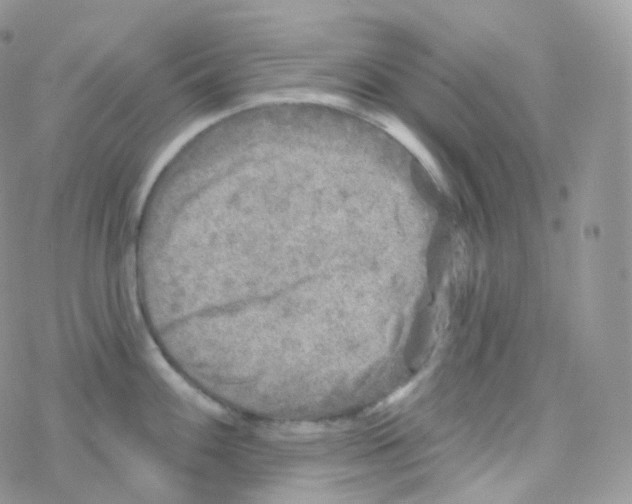 X0000078311100200611251527