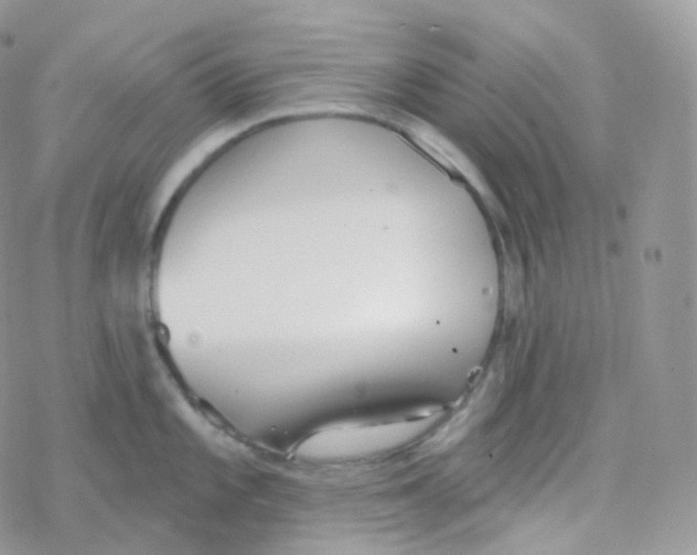 X0000078311101200611251527