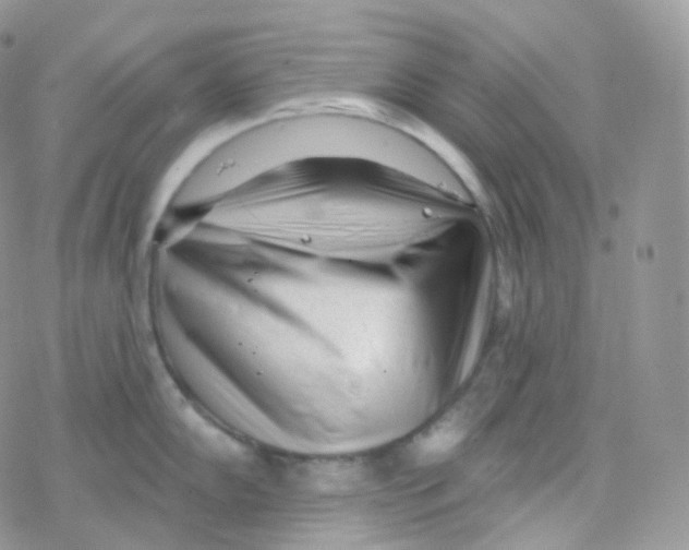 X0000078311102200611251527