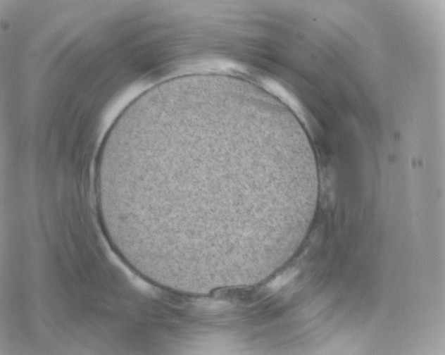 X0000078311103200611251527