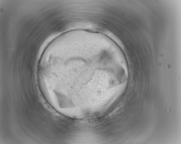 X0000078311104200611251527