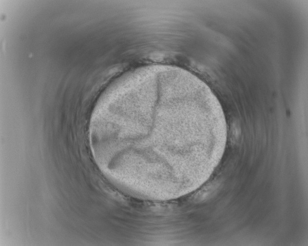 X0000078311105200611251526