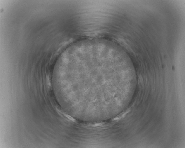 X0000078311106200611251526