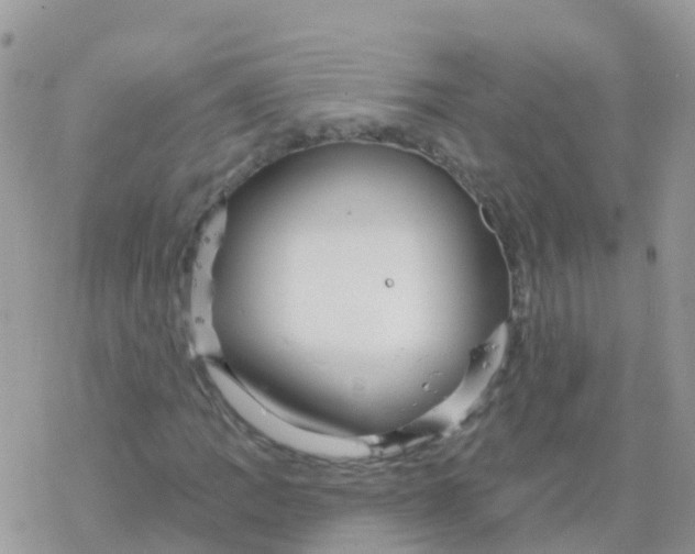 X0000078311109200611251526