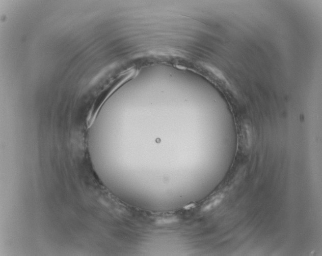 X0000078311110200611251526