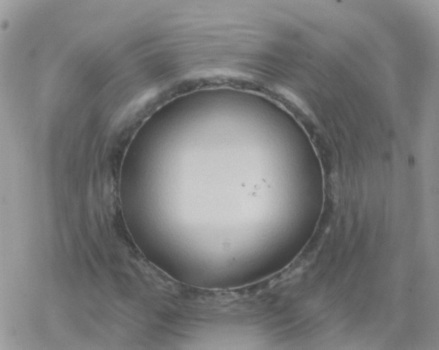 X0000078311111200611251526