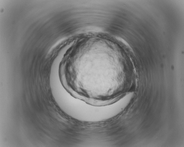 X0000078311112200611251526