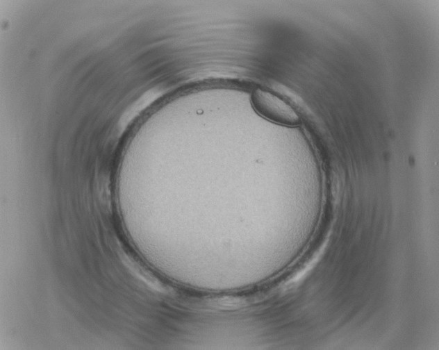 X0000078311113200611251526