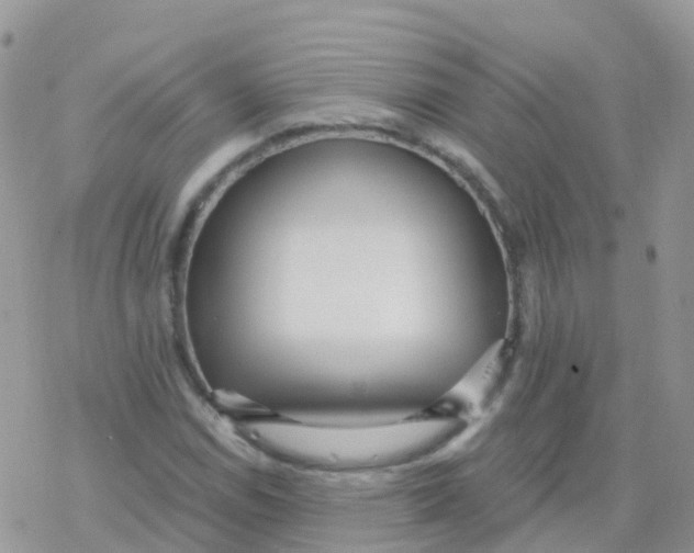 X0000078311114200611251526