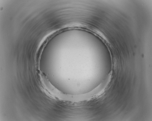 X0000078311116200611251526