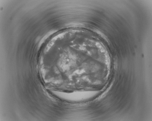 X0000078311117200611251526