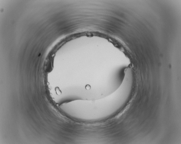 X0000078311118200611251526