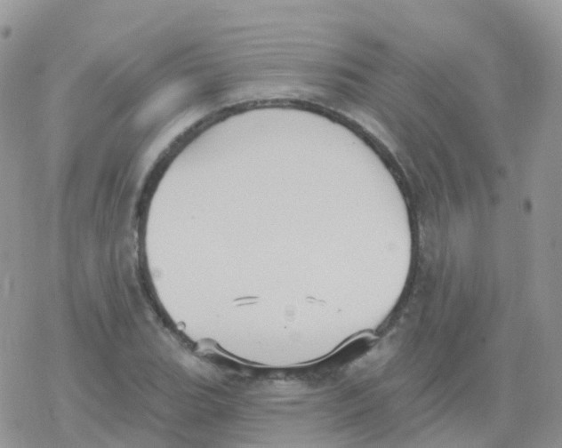 X0000078311119200611251526