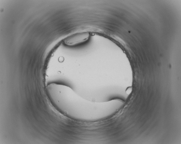 X0000078311120200611251526