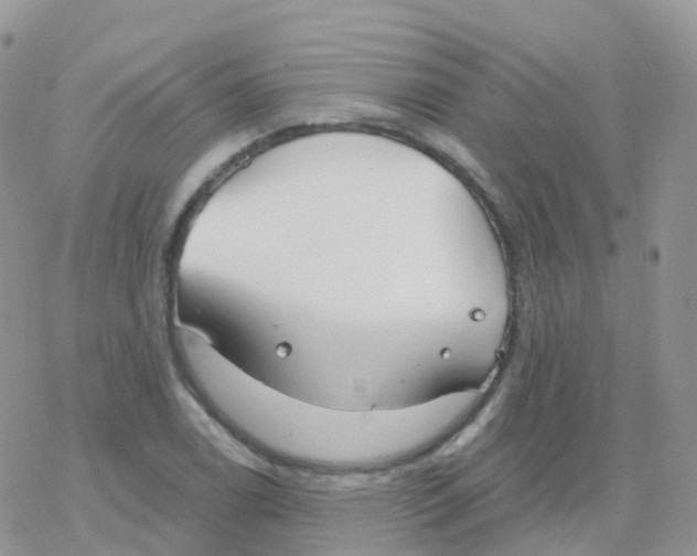 X0000078311122200611251526