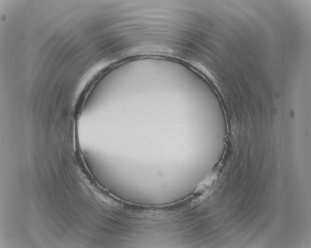 X0000078311123200611251527