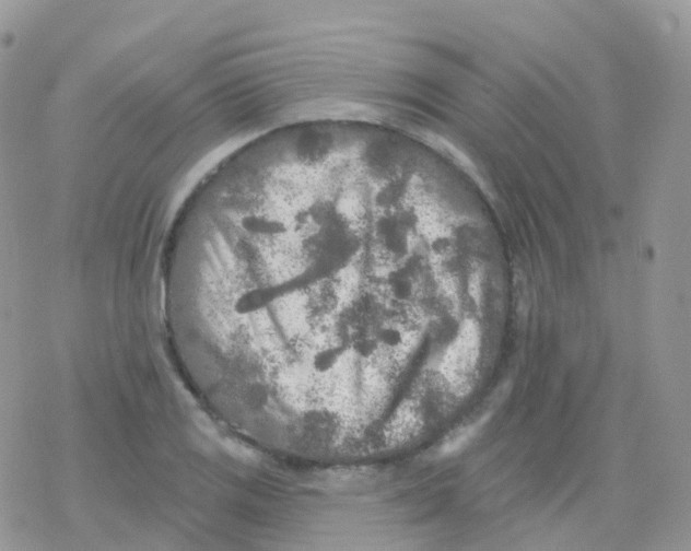 X0000078311125200611251527