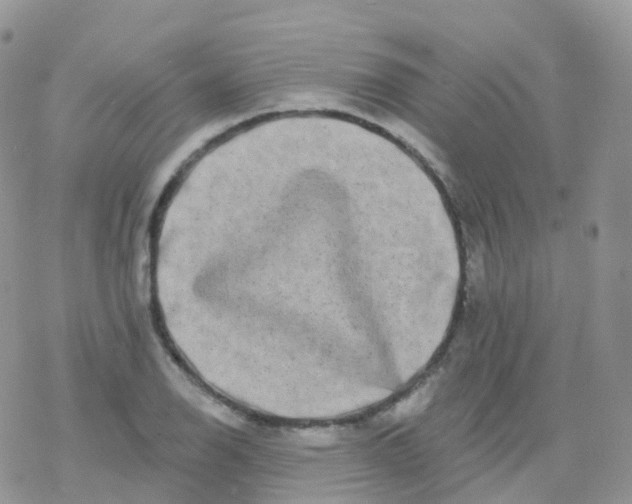 X0000078311126200611251527