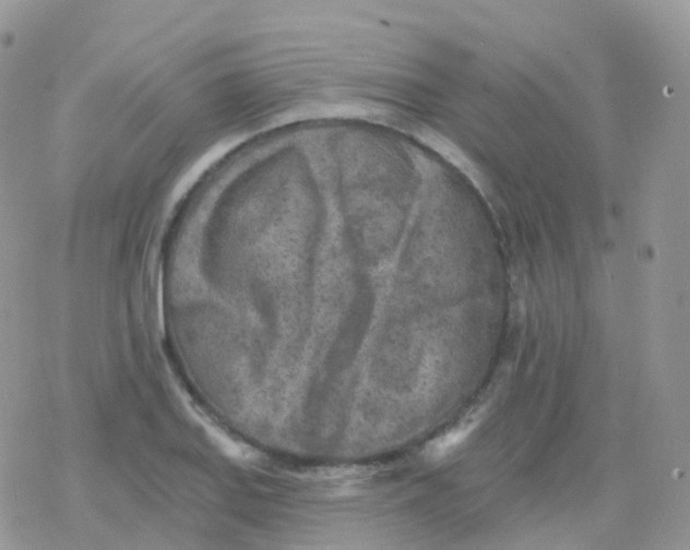 X0000078311127200611251527