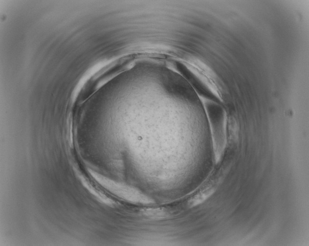 X0000078311128200611251527