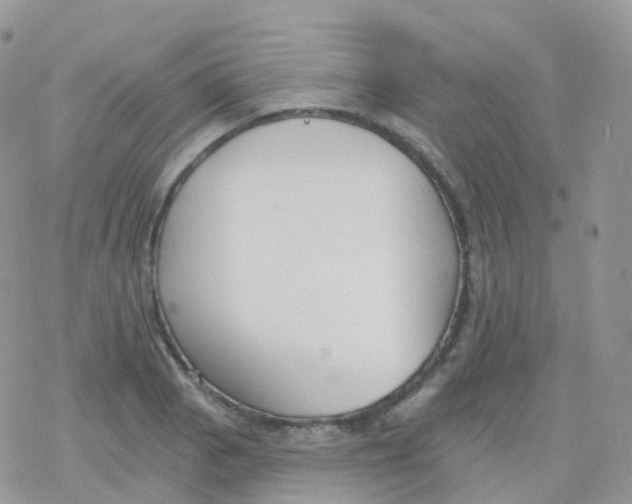 X0000078311129200611251527