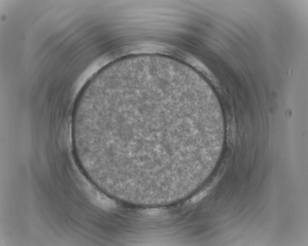 X0000078311130200611251527