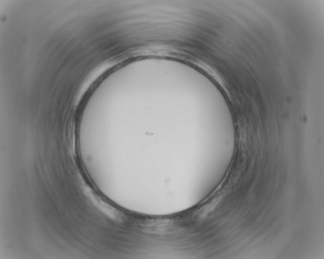 X0000078311131200611251527