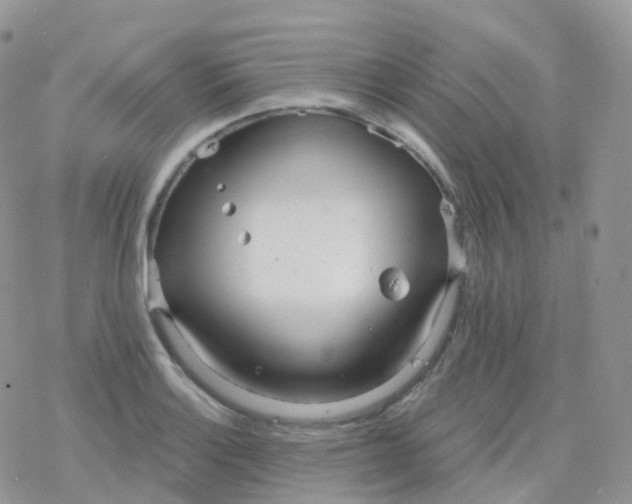 X0000078311132200611251527