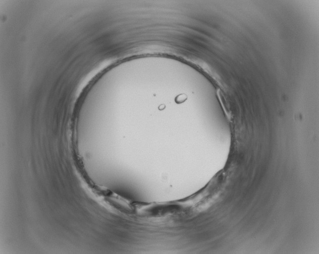 X0000078311134200611251527