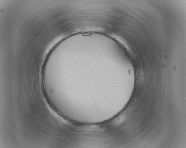 X0000078311135200611251527