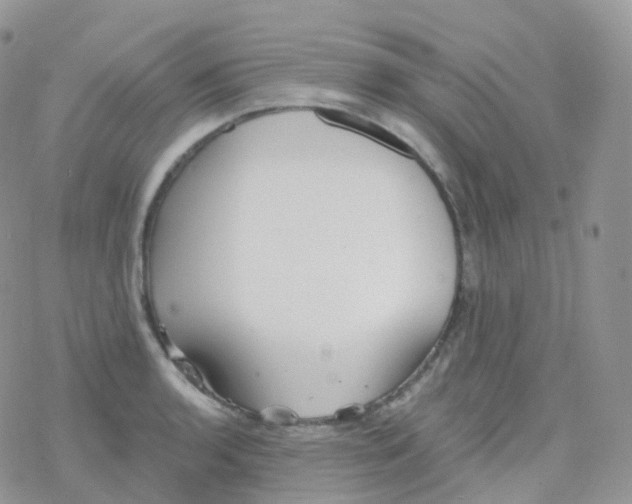 X0000078311136200611251527