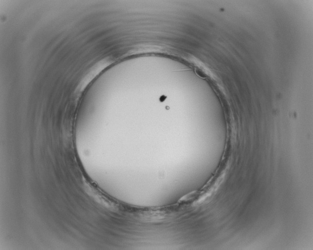 X0000078311137200611251527