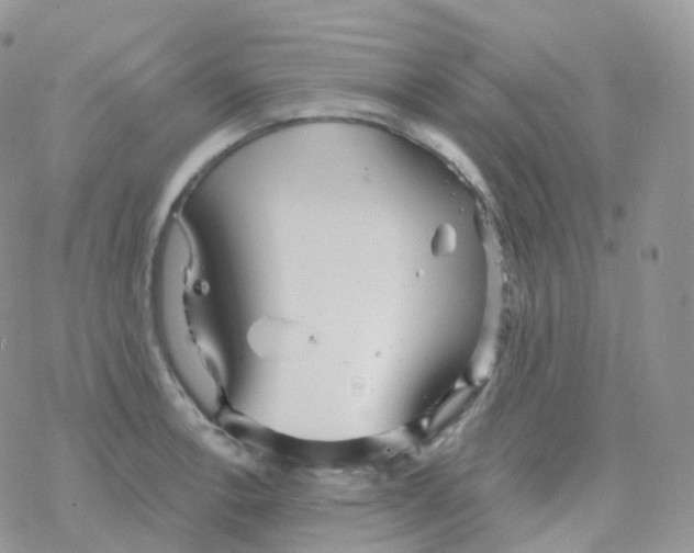 X0000078311138200611251527