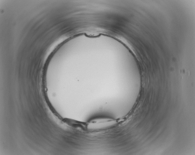 X0000078311139200611251527