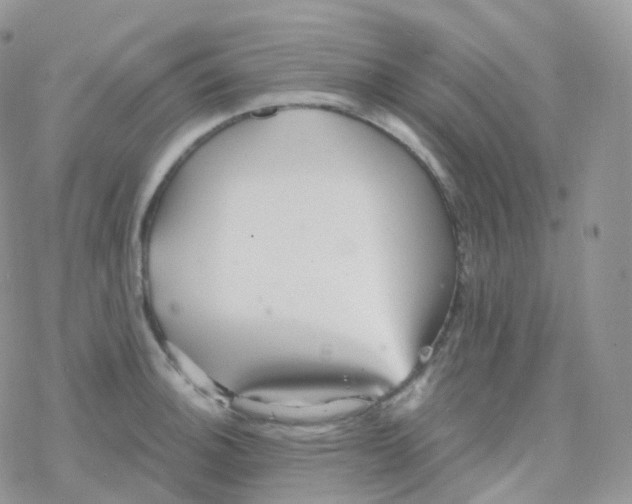 X0000078311140200611251527