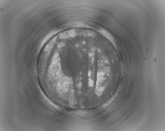 X0000078311141200611251527