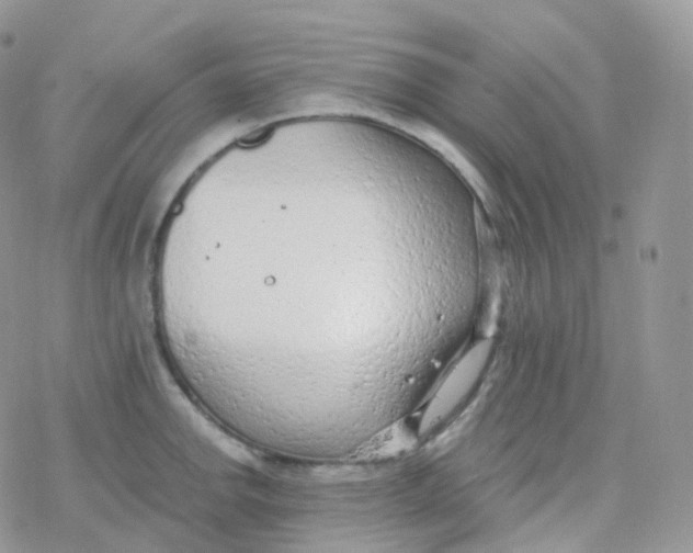 X0000078311142200611251527