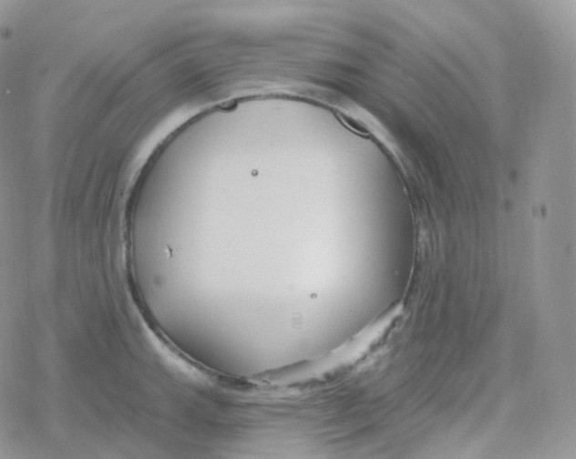 X0000078311143200611251527