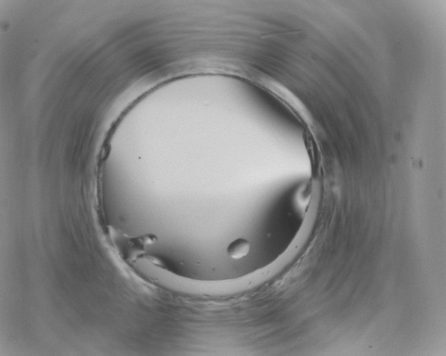 X0000078311144200611251527